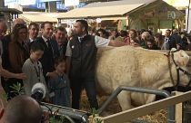 Macron trifft (wütende) Landwirte und Kühe