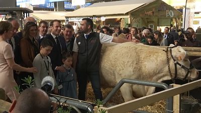 Macron trifft (wütende) Landwirte und Kühe