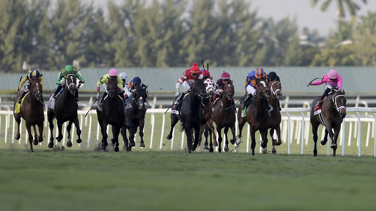 Dünyanın en pahalı at yarışı Suudi Arabistan’da düzenleniyor 