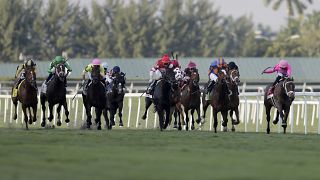 Dünyanın en pahalı at yarışı Suudi Arabistan’da düzenleniyor 