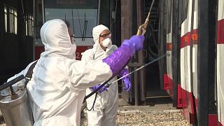 شاهد: إجراءات "استثنائية" في كوريا الشمالية للوقاية من فيروس كورونا 