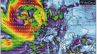 Wind and pressure isobars forecast for February 29, 2020..