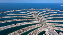 Dubais Palmeninsel blüht auf 