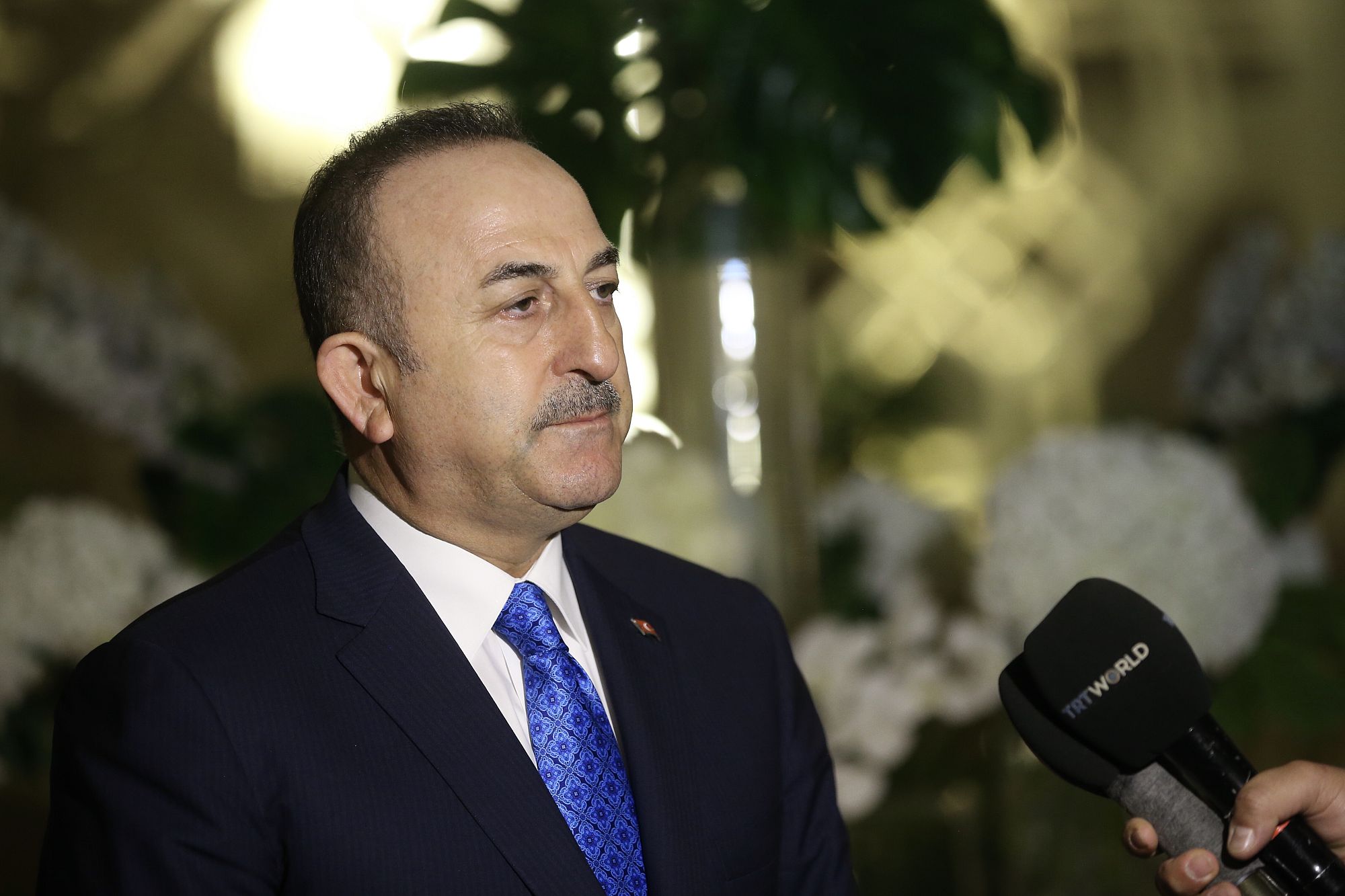 seductive allureenchanting beautyunforgettable presence