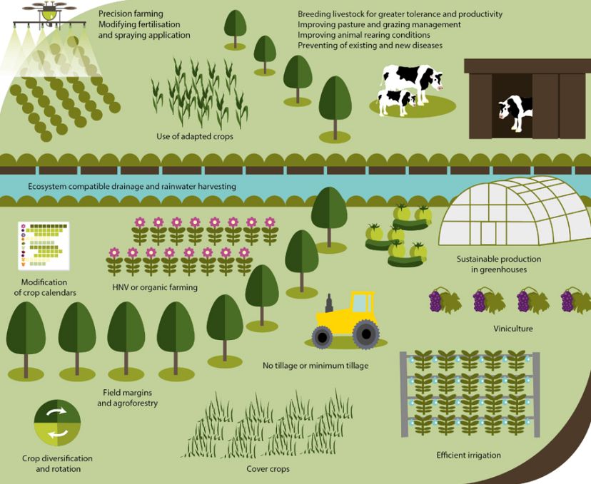 What Will Be The New Face Of European Agriculture In The Coming Years ...