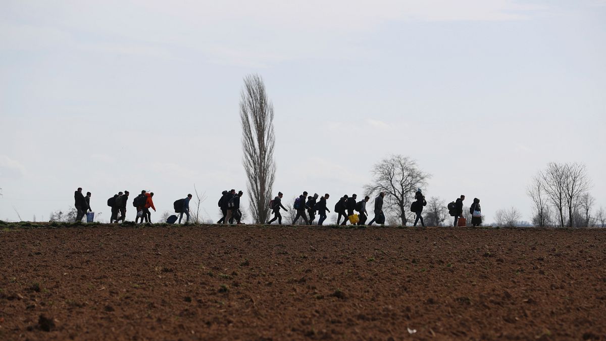 Osztrák rendőrök jöhetnek a magyar-szerb határhoz