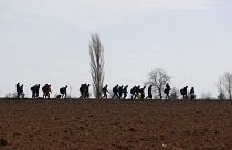 Osztrák rendőrök jöhetnek a magyar-szerb határhoz