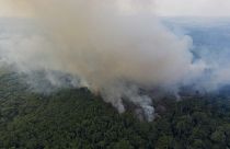 Incêndio na Amazónia
