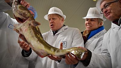 Britain's Prime Minister Boris Johnson poses holding a cod during a general election campagin visit to Grimsby Fish Market in northeast England.