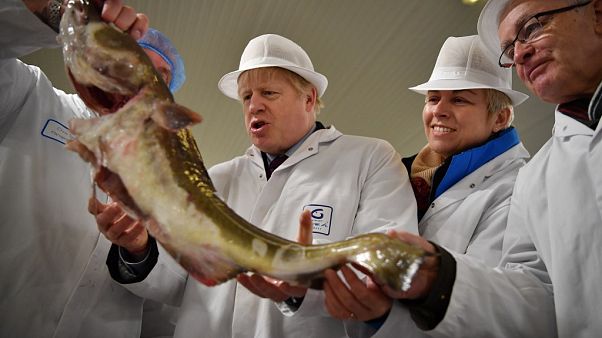 Britain's Prime Minister Boris Johnson poses holding a cod during a general election campagin visit to Grimsby Fish Market in northeast England. Britain's Prime Minister Boris Johnson poses holding a cod during a general election campagin visit to Grimsby Fish Market in northeast England.