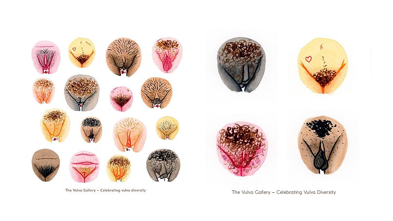 The Artwork Providing A Safe Space For Vulvas Everywhere Euronews