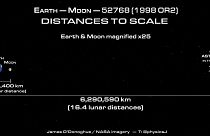 Riesen-Asteroid "mit Gesichtsmaske" fliegt an der Erde vorbei
