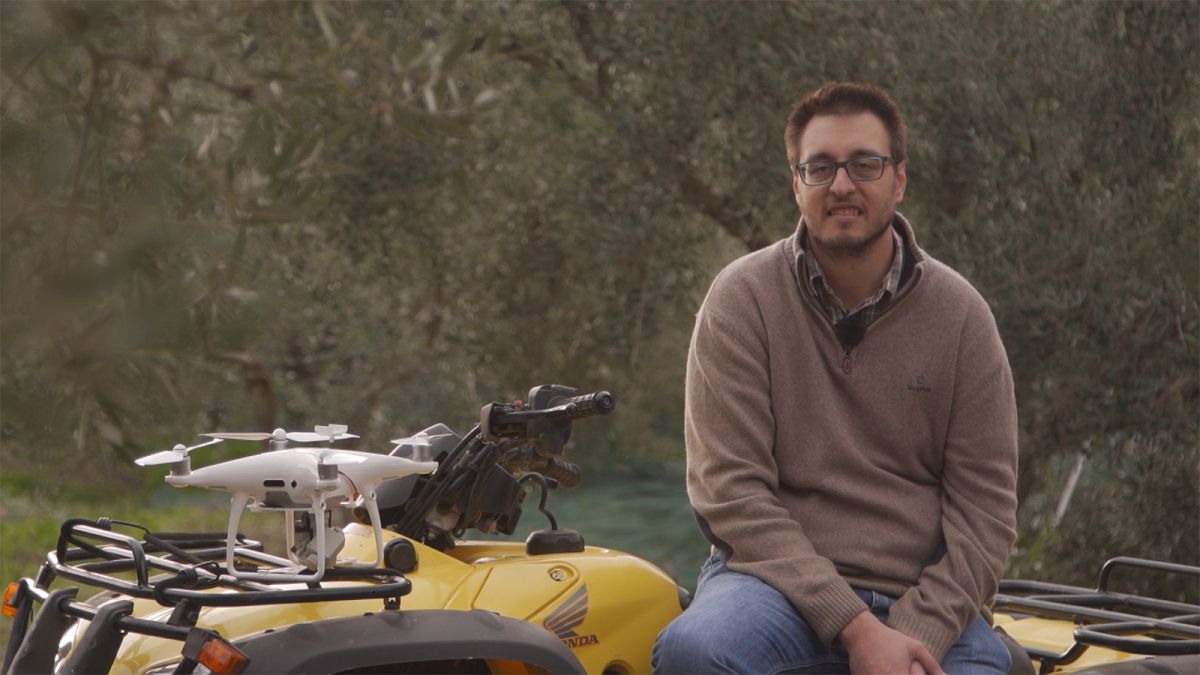 Así es como los drones y la agricultura inteligente ayudan a los olivareros griegos