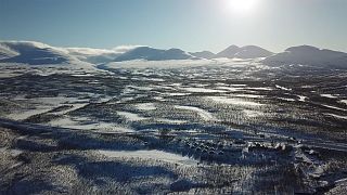 Vivimos el invierno más cálido de la historia. ¿Cómo afecta a la vida?