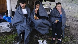 چند پناهجو در مرز تریکه و یونان