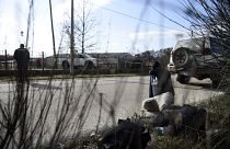 Greece Turkey Migrants