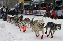 Elrajtolt a világ legkeményebb kutyaszánversenye