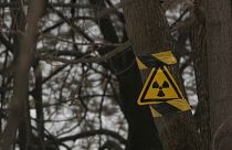 Físicos y activistas alertan desastre ecológico en Moscú por desechos radiactivos