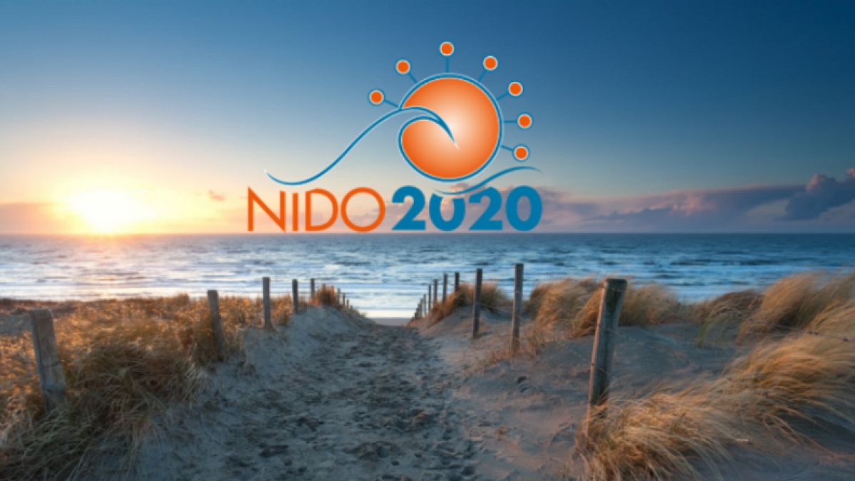 the NIDO2020 logosu