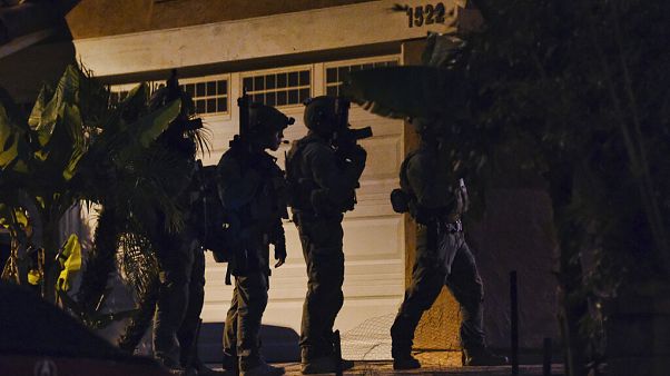Drug Cartel Raids Drug Cartel Raids