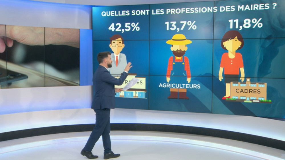 Municipales 2020 : portrait-robot des maires en France