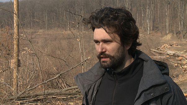 Ciprian Gălușcă: "The loss of Romanian old growth forests would weaken the whole continent" Ciprian Gălușcă: "The loss of Romanian old growth forests would weaken the whole continent"