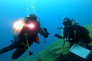 What’s killing our underwater ecosystems?