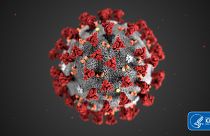 Koronavírus: „térképen” hogyan gyűri le az ember szervezete a fertőzést