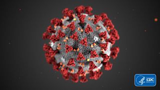 Koronavírus: „térképen” hogyan gyűri le az ember szervezete a fertőzést
