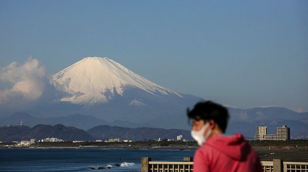 Virus Outbreak Japan Virus Outbreak Japan