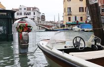 Sogar in Venedig: Ausbleiben der Touristen sorgt für saubereres Wasser