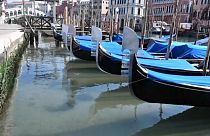 Economic lockdown 'reduces global pollution levels' - European Space Agency