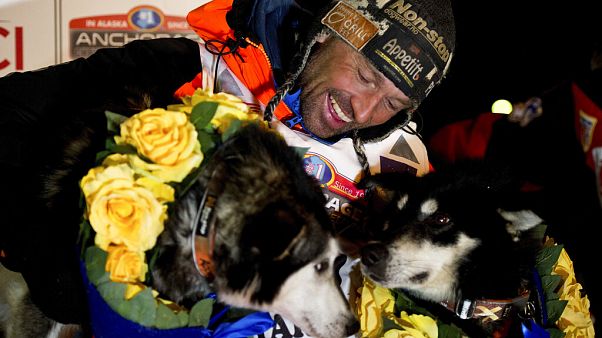 Thomas Waerner,Nome,Iditarod Thomas Waerner,Nome,Iditarod
