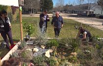 How can we balance urbanisation with protecting the environment and quality of life?