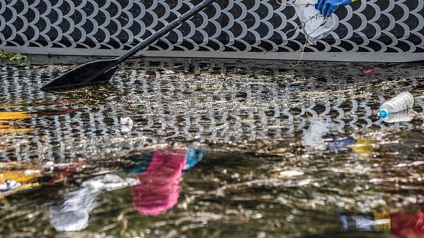 Çevre gönüllüleri, Mısır'a hayat veren Nil Nehri'ni temizlemeye çalışıyor Çevre gönüllüleri, Mısır'a hayat veren Nil Nehri'ni temizlemeye çalışıyor