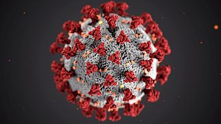 Distanciamiento social, teletrabajo y otras nuevas palabras que nos trajo la pandemia de coronavirus