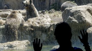 فيروس كورونا يجبر حديقة حيوانات في إيطاليا إلى توجيه نداء استغاثة