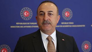 Dışişleri Bakanı Mevlüt Çavuşoğlu: 7 ülkeden 3 bin 358 öğrenci Türkiye'ye getirilecek