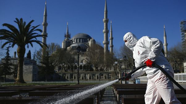 Turkey Virus Outbreak Turkey Virus Outbreak