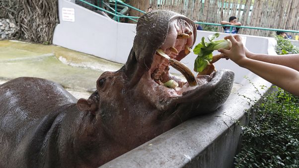 Thaiföld - képünk illusztráció! Thaiföld - képünk illusztráció!