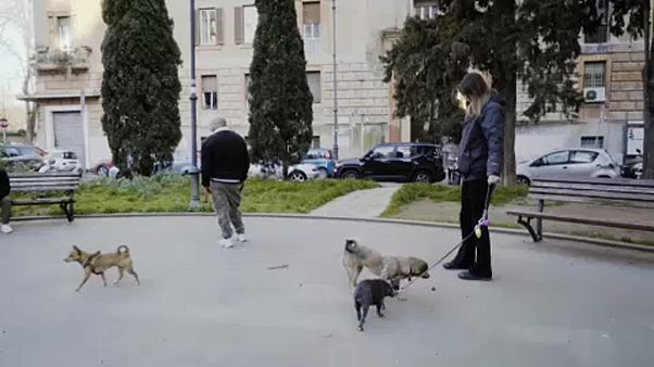 Η βόλτα με τον σκύλο σε καιρούς καραντίνας Η βόλτα με τον σκύλο σε καιρούς καραντίνας