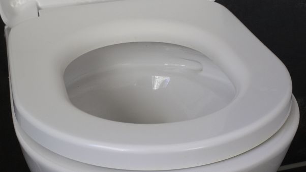 Klozet yalayan sosyal medya 'fenomeni' Covid-19'a yakalandığını duyurdu Klozet yalayan sosyal medya 'fenomeni' Covid-19'a yakalandığını duyurdu