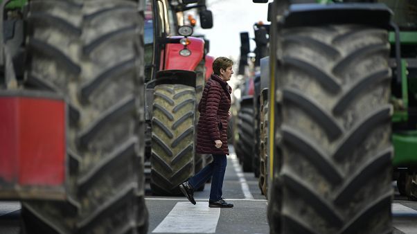 El campo sigue activo para garantizar que las neveras estén llenas El campo sigue activo para garantizar que las neveras estén llenas