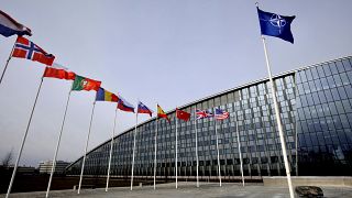 Brüksel'deki NATO karargahı ve üye ülkelerin bayrakları
