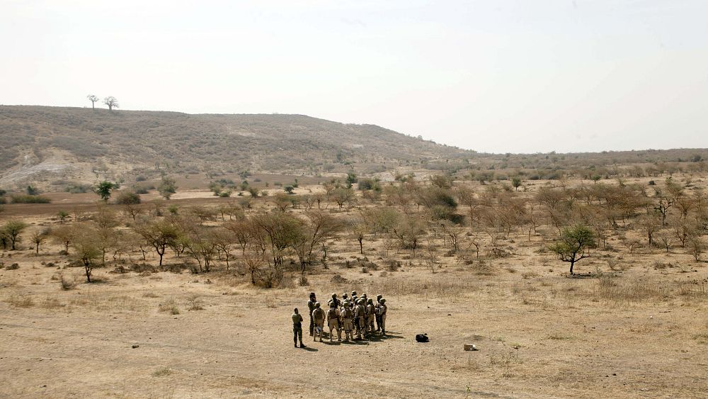 La force européenne Takuba déployée au Sahel ce mercredi : avec quels moyens et pour quel objectif ?