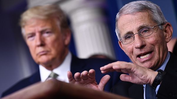 Başkan Trump'ın Covid-19 danışmanı Fauci: ABD'de salgından dolayı 200 bin kişi hayatını kaybedebilir Başkan Trump'ın Covid-19 danışmanı Fauci: ABD'de salgından dolayı 200 bin kişi hayatını kaybedebilir