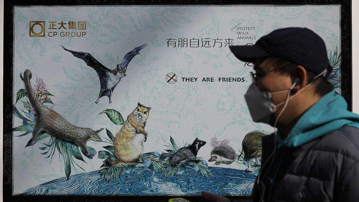 Pekin'de vahşi hayvanları korumayı teşvik eden bir propaganda posteri