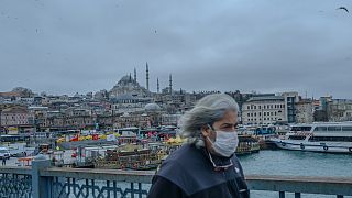 Türkiye'de koronavirüs salgını