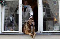 A man pets a dog that sits in a window downtown Prague, Czech Republic, Tuesday, March 24, 2020