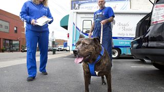 Vet clinic in Virginia is offering curb side pick up and drop off for animals amid concerns over the coronavirus.